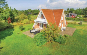 Lovely Home In Skjern With Wifi